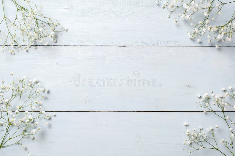 Предпосылка весны, рамка цветков на голубом деревянном столе Модель-макет знамени на день женщины или матерей, пасха, праздники в стоковое фото